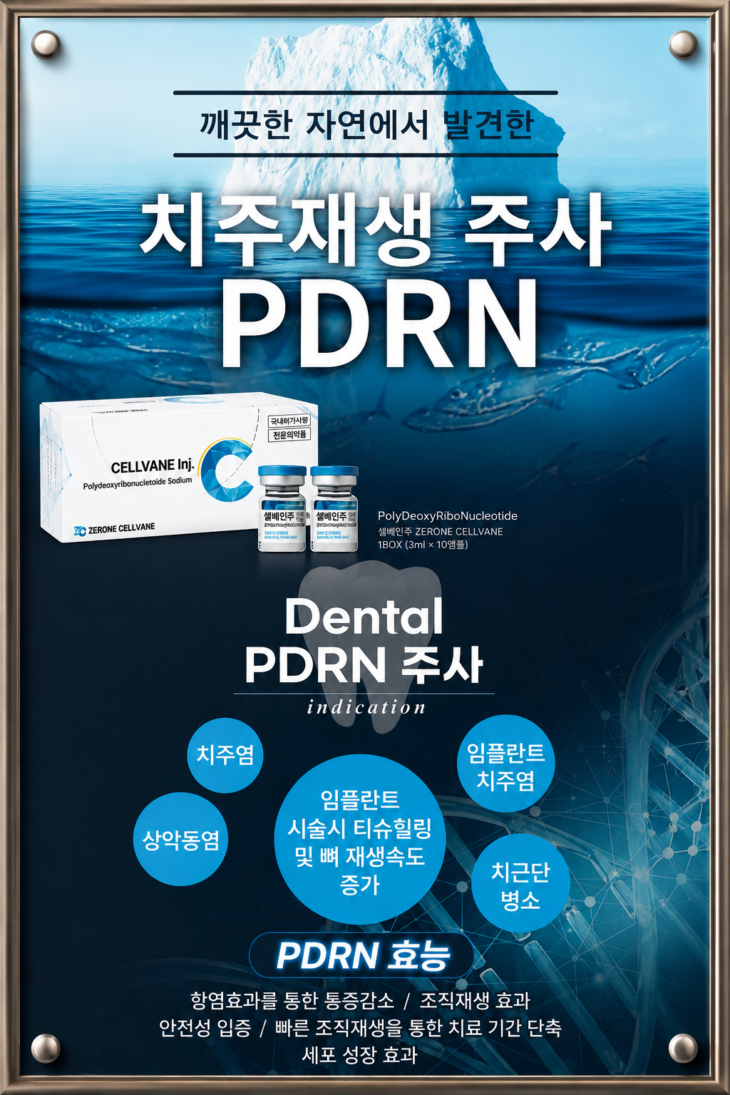 치주재생 주사 PDRN